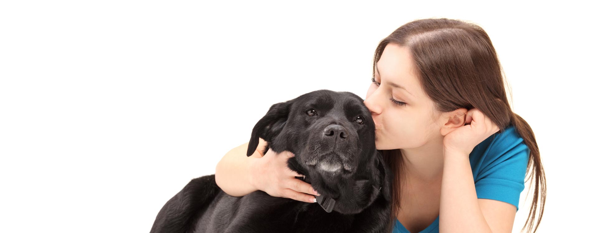 Need a Professional Mesa Dog Euthanasia Vet?